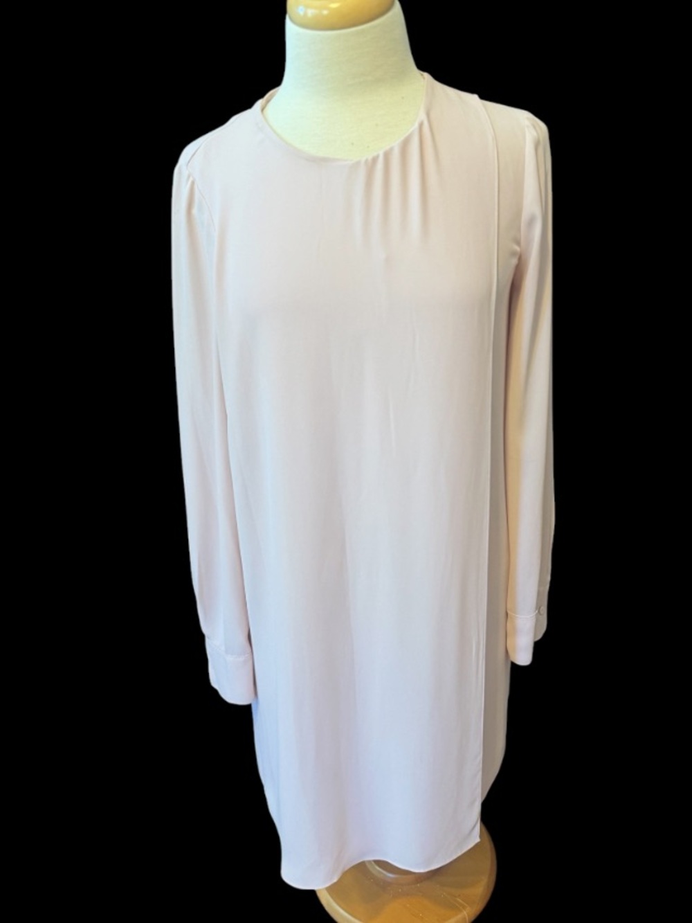 Brand new BCBG Maxazria Long Sleeve silky Dress in Light Blush size 4